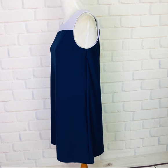 Jude Connally Color Block Shift Dress - Picture 4 of 8